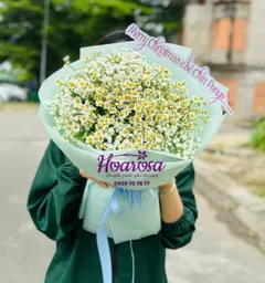 Bộ Sưu Tập