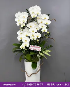 Lan Hồ Điệp