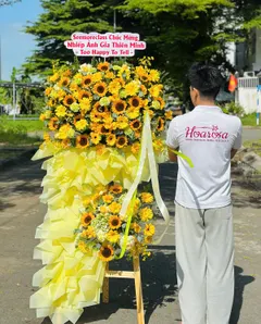 Ý nghĩa hoa hướng dương – Biểu tượng của niềm tin và hy vọng trong cuộc sống