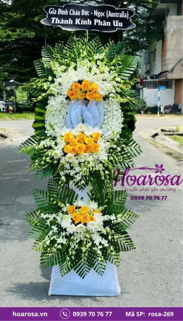 Hoa chia buồn rosa-269