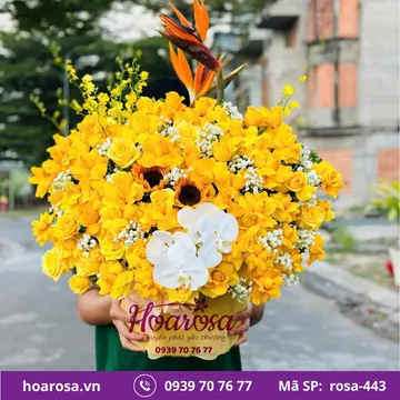 Giỏ hoa rosa-443