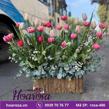 Bó hoa rosa-400