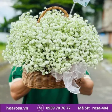 Giỏ hoa rosa-404