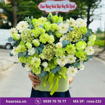 Giỏ hoa rosa-232
