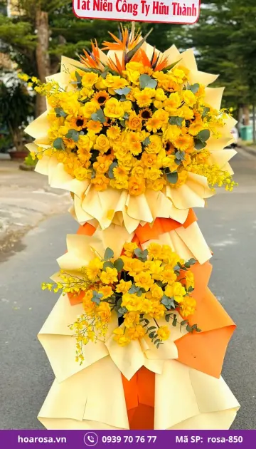 Hoa Chúc Mừng rosa-850