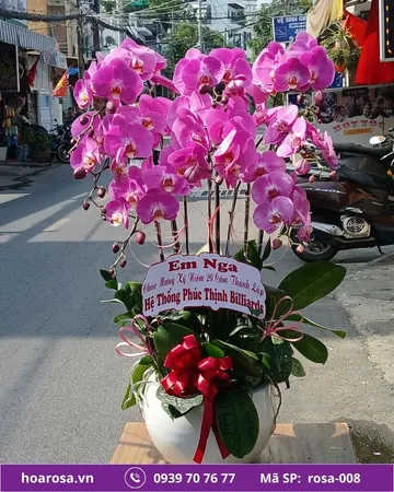 Lan hồ điệp rosa-008