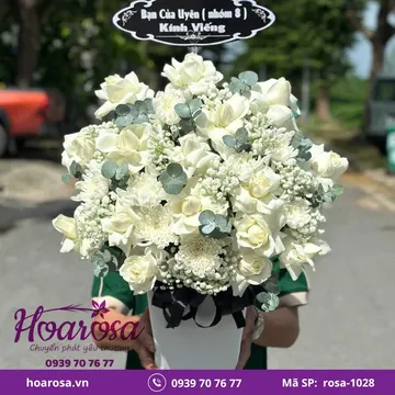 K Hoa chia buồn rosa-1028