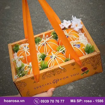 Hộp trái cây rosa-1586