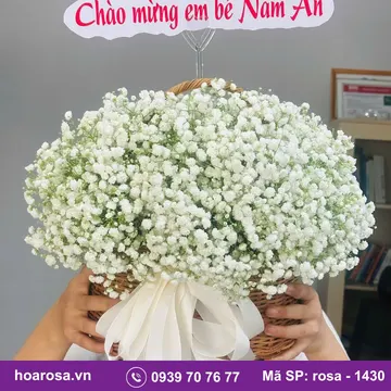 Giỏ hoa rosa-1430