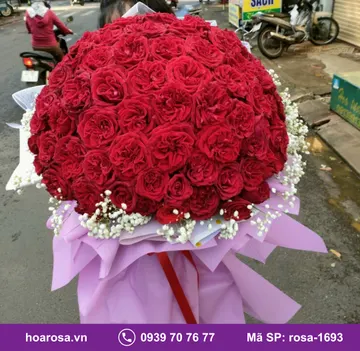 Bó hoa rosa-1693