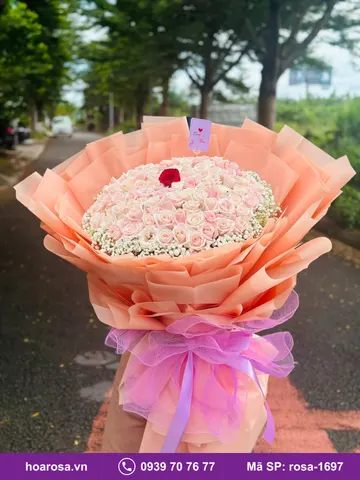 Bó hoa rosa-1697