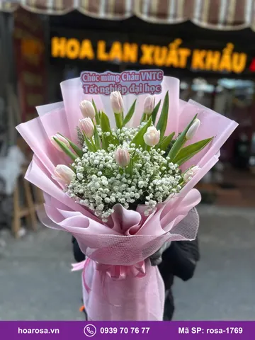 Bó hoa tulip tông hồng rosa-1769