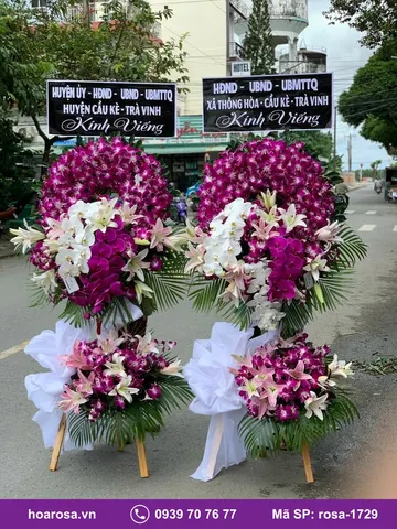 Hoa chia buồn rosa-1729