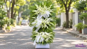 Hoa Chia Buồn: Chọn Cúc Trắng, Cúc Vàng Hay Lan? Bảng Giá Và Mẫu Lời Phân Ưu