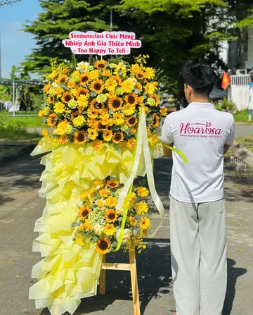 Ý nghĩa hoa hướng dương – Biểu tượng của niềm tin và hy vọng trong cuộc sống