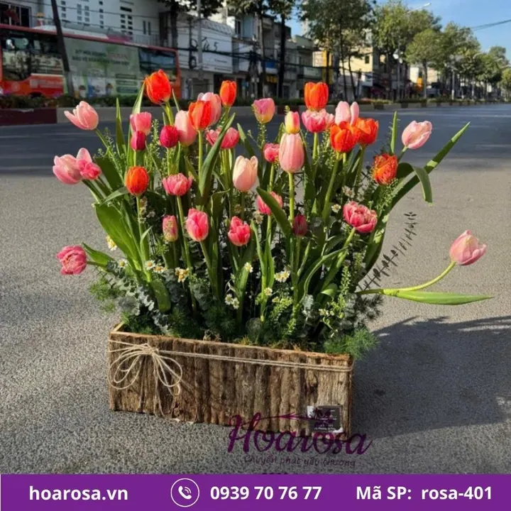Bó hoa rosa-401