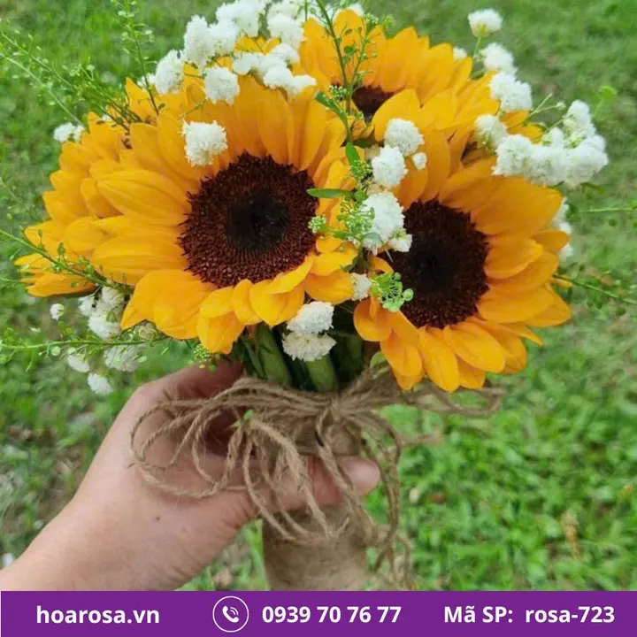 Bó hoa rosa-723