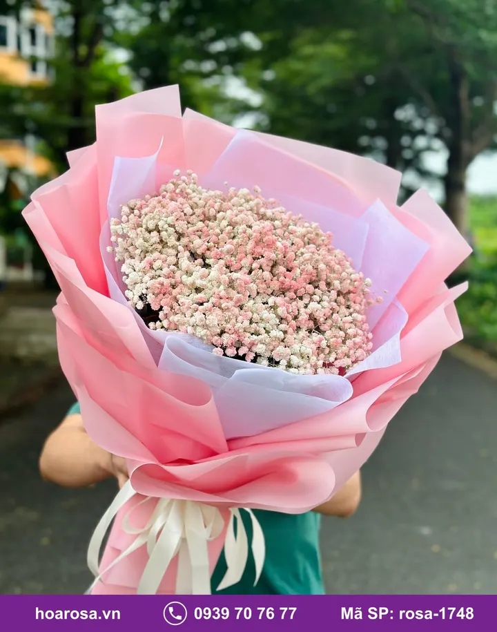 Bó Hoa Baby rosa-1748