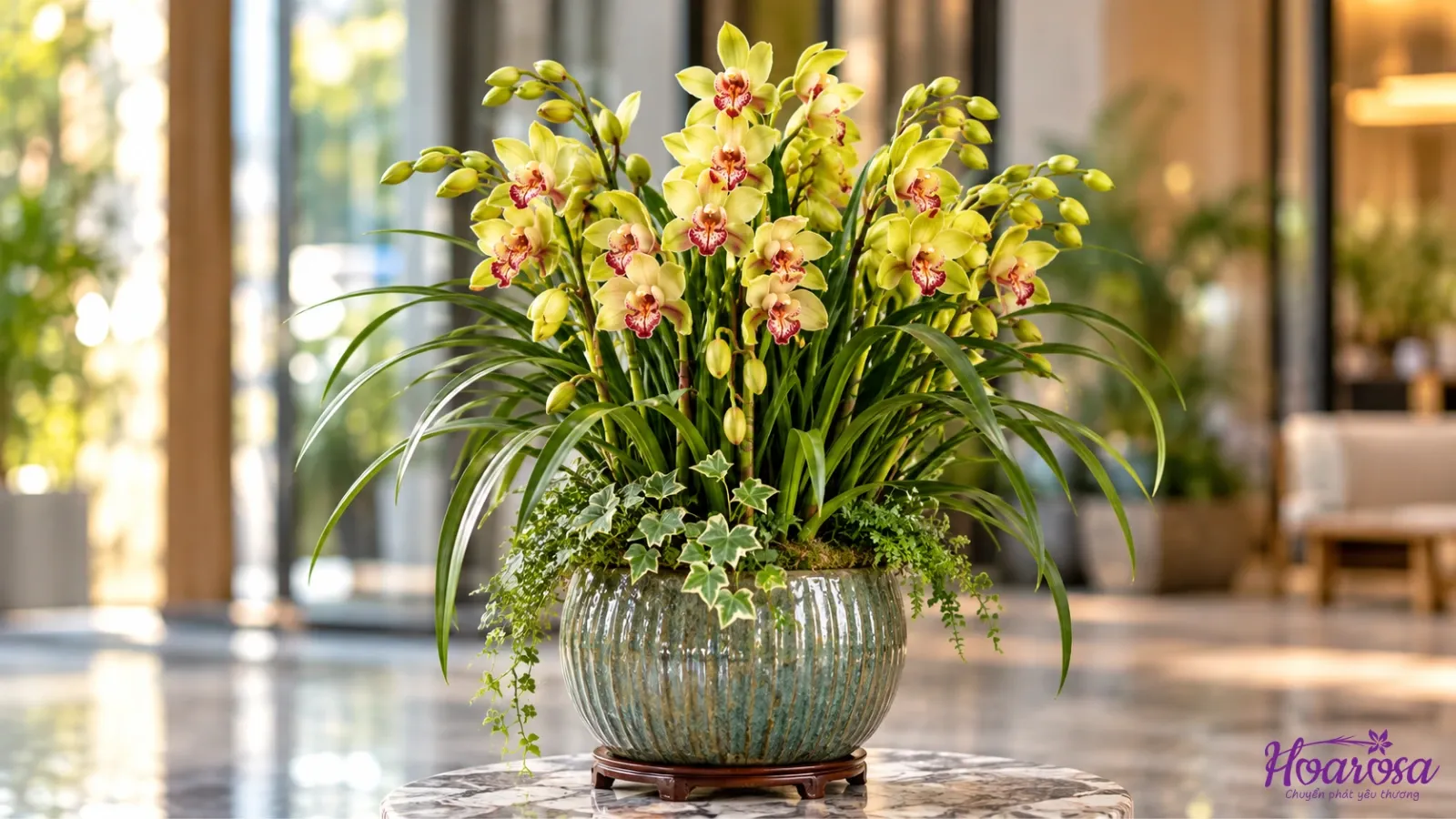 Địa lan Cymbidium