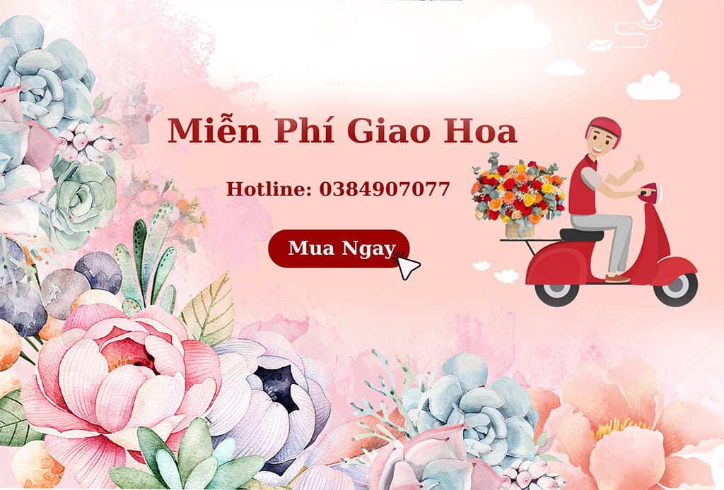 Hoa mừng 20/11 6 12