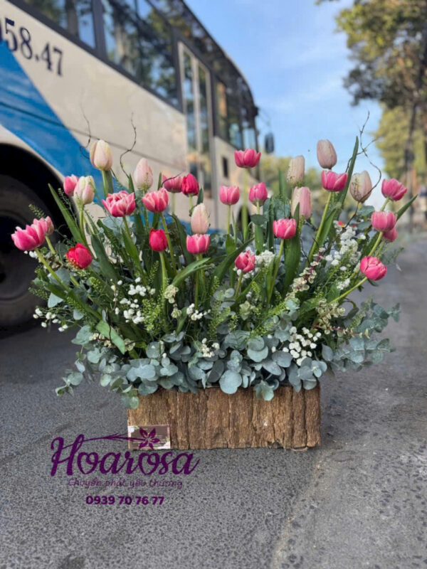 Lẵng hoa tươi rosa-033
