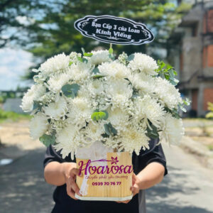 Hoa chia buồn rosa-050