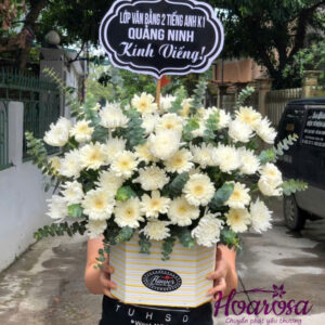 Hoa chia buồn rosa-051