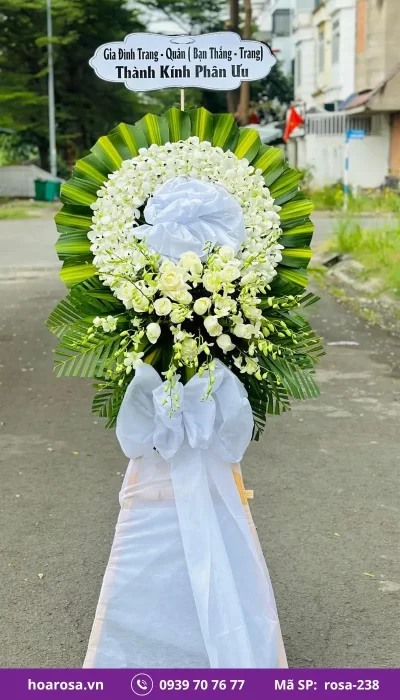 Hoa chia buồn rosa-238