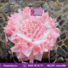 Bó hoa rosa-699