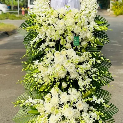 Hoa chia buồn rosa-262