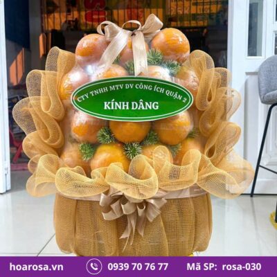 Giỏ trái cây rosa-030