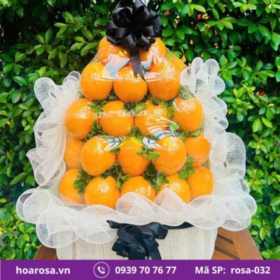 Giỏ trái cây rosa-032