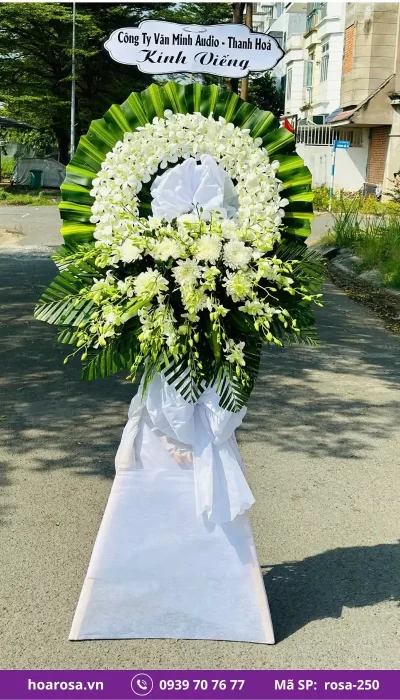 Hoa chia buồn rosa-250