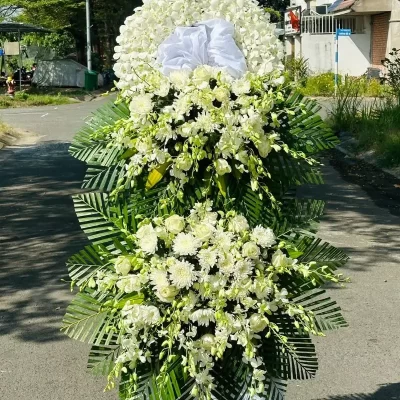 Hoa chia buồn rosa-268