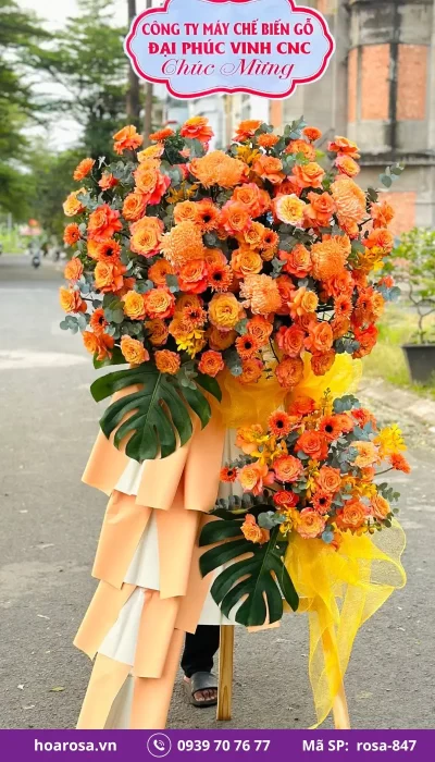 Hoa Chúc Mừng rosa-847