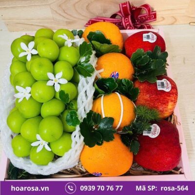 Hộp trái cây rosa-564