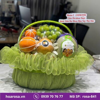 Giỏ trái cây rosa-841