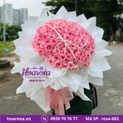 Bó hoa rosa-683
