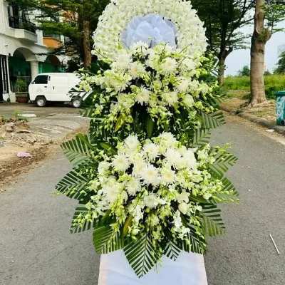 Hoa chia buồn rosa-256