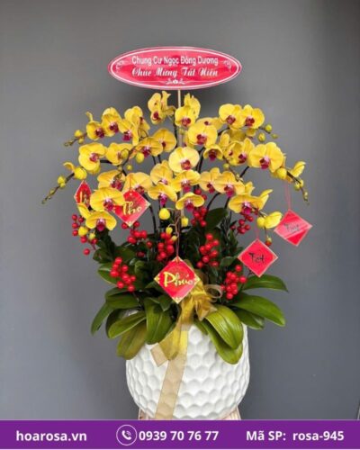 Lan hồ điệp rosa-945