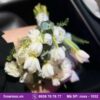 Bó hoa rosa-1032
