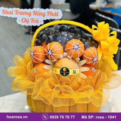 Giỏ trái cây rosa-1041
