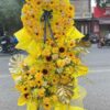 Hoa chia buồn rosa-1497
