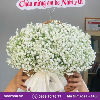 Giỏ hoa rosa-1430