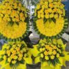 Hoa chia buồn rosa-1498